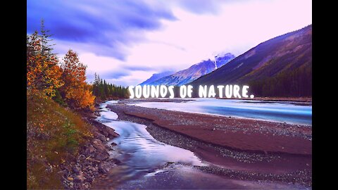 - SOUNDS OF NATURE...