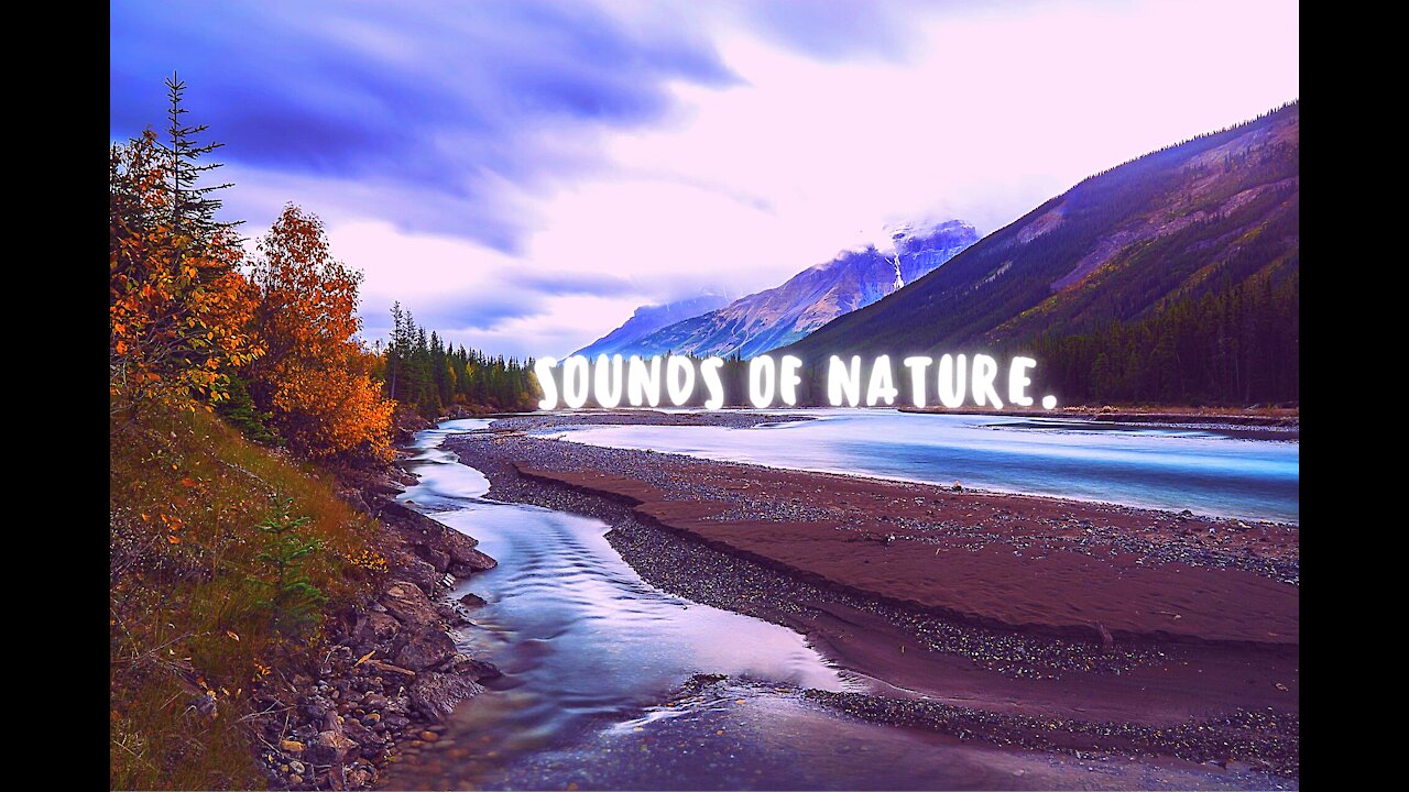 - SOUNDS OF NATURE...