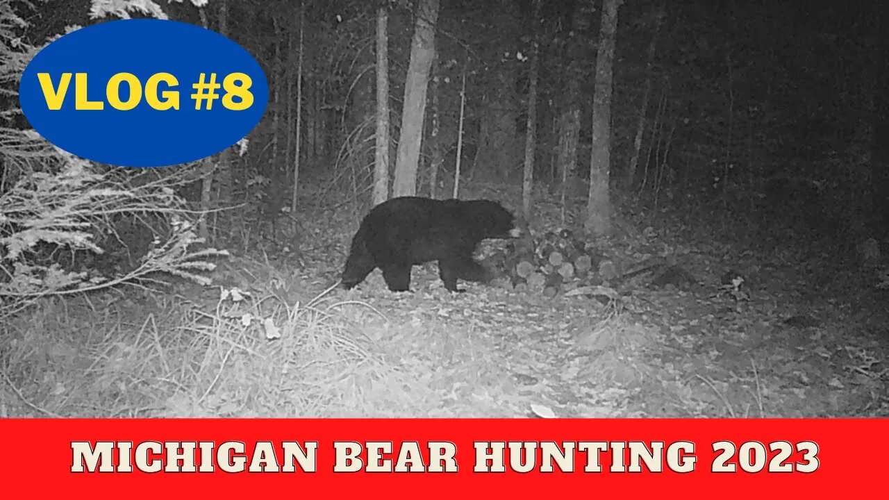 Michigan Bear Hunting VLOG #8