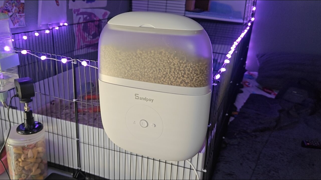 Automatic Guinea Pig Feeder with 1080P Camera