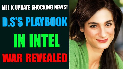D.S'S PLAYBOOK IN INTEL WAR REVEALED - TRUMP NEWS