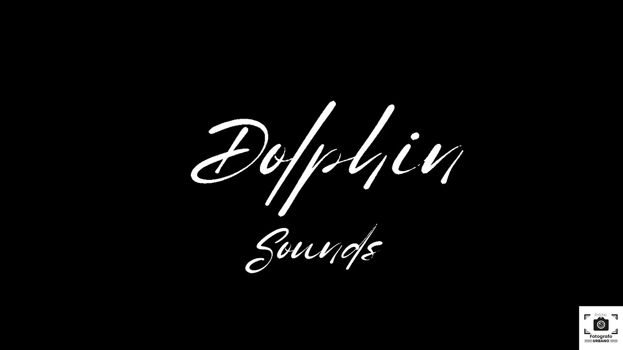 Dolphin Sound Black Screen 12 Hours: Dolphin Song for Relaxation and Meditation