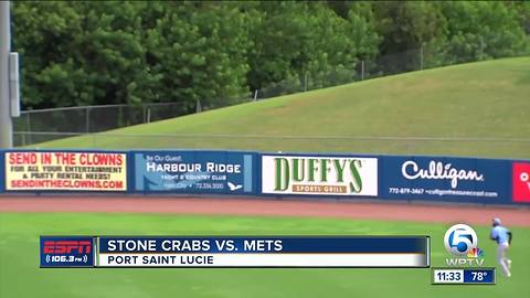 Stone Crabs defeat Mets