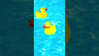 Just Ducking Around, Video No. 600! #ducky #pool #shorts