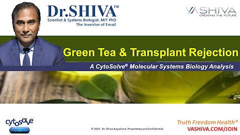 CytoSolve Discovers Molecular Mechanisms of Green Tea Reducing Transplant Rejection. Just Published.