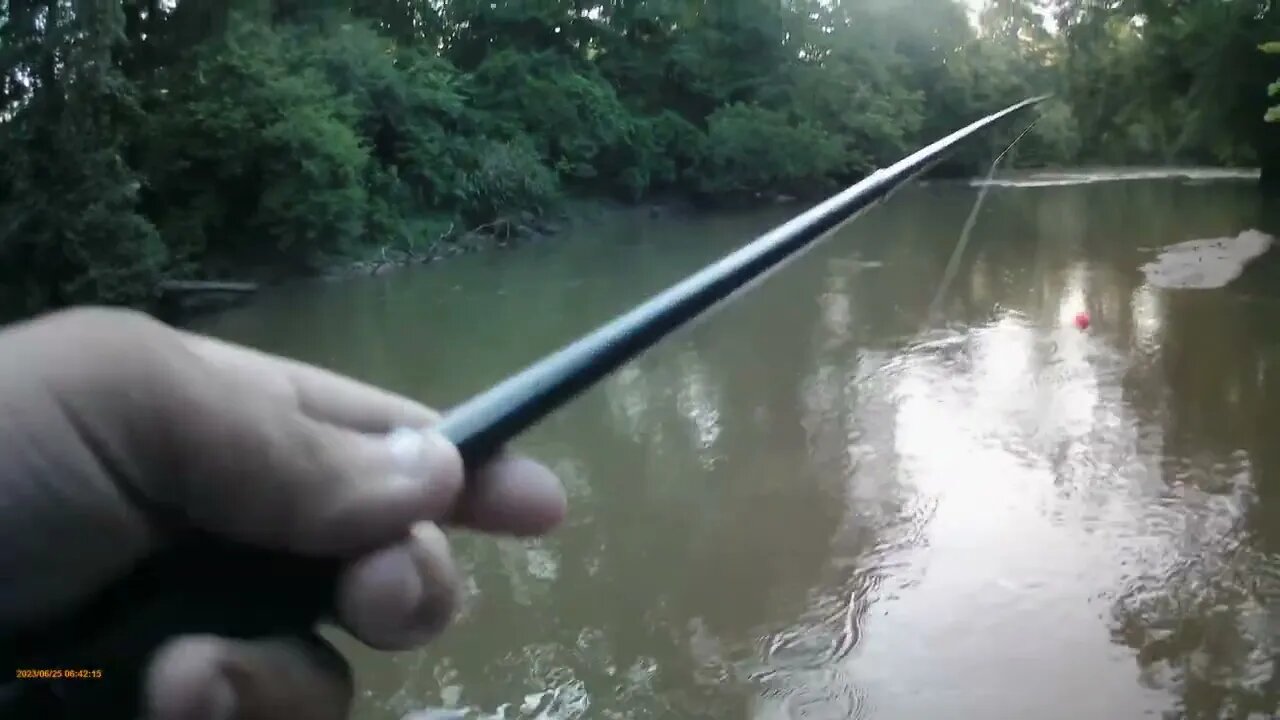 Fishing session 6/25/23: Beautiful morning, full of wildlife