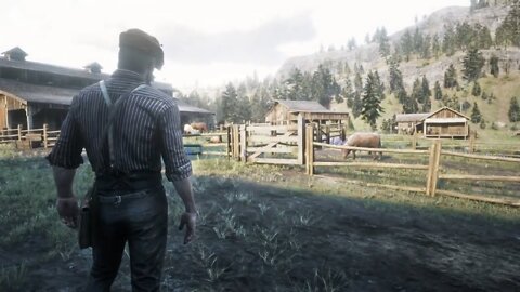 Red Dead Redemption 2 (Gameplay PS4)