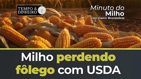 Milho perdendo fôlego com USDA