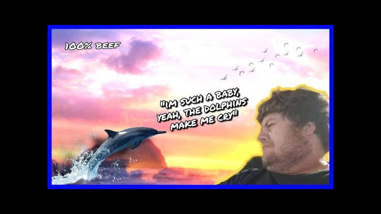 THE DOLPHINS MAKE ME CRY (Post Malone/Hootie & The Blowfish Only Wanna Be with You Joke)