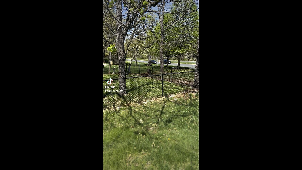 Lost Cemetery