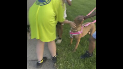 Walking