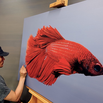 Stunning hyperrealism portrait of red betta fish