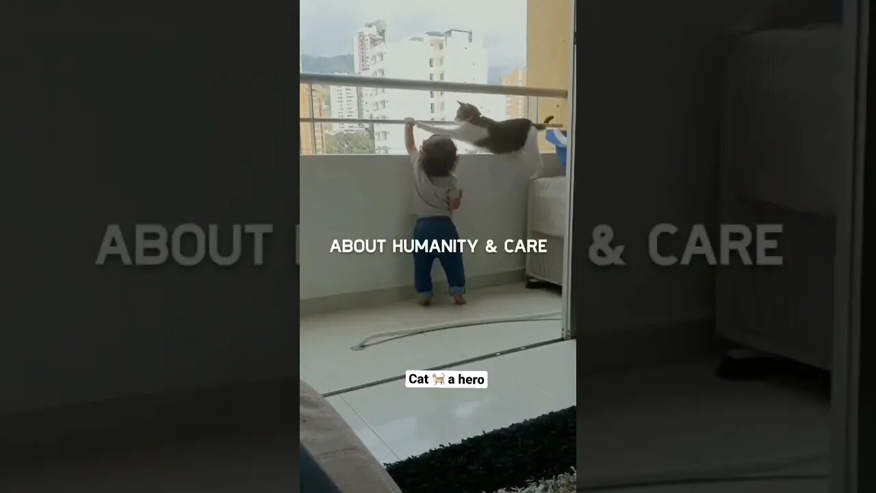 The cat is a hero, saved the child from evil ❤️ #reels #subscribe #shorts #foryou #fyp #cat #love