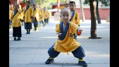 Kids kung fu video