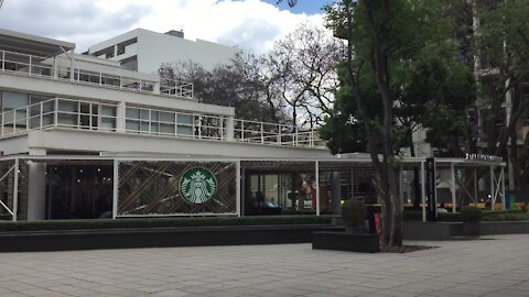 SOUTH AFRICA - Johannesburg - Stock - Starbucks (Video) (Jnk)