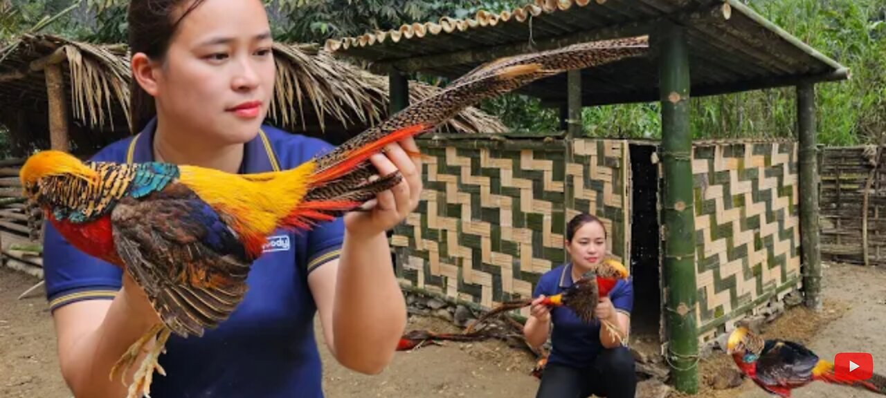 Building a bamboo house for pheasants is a process from start to finish