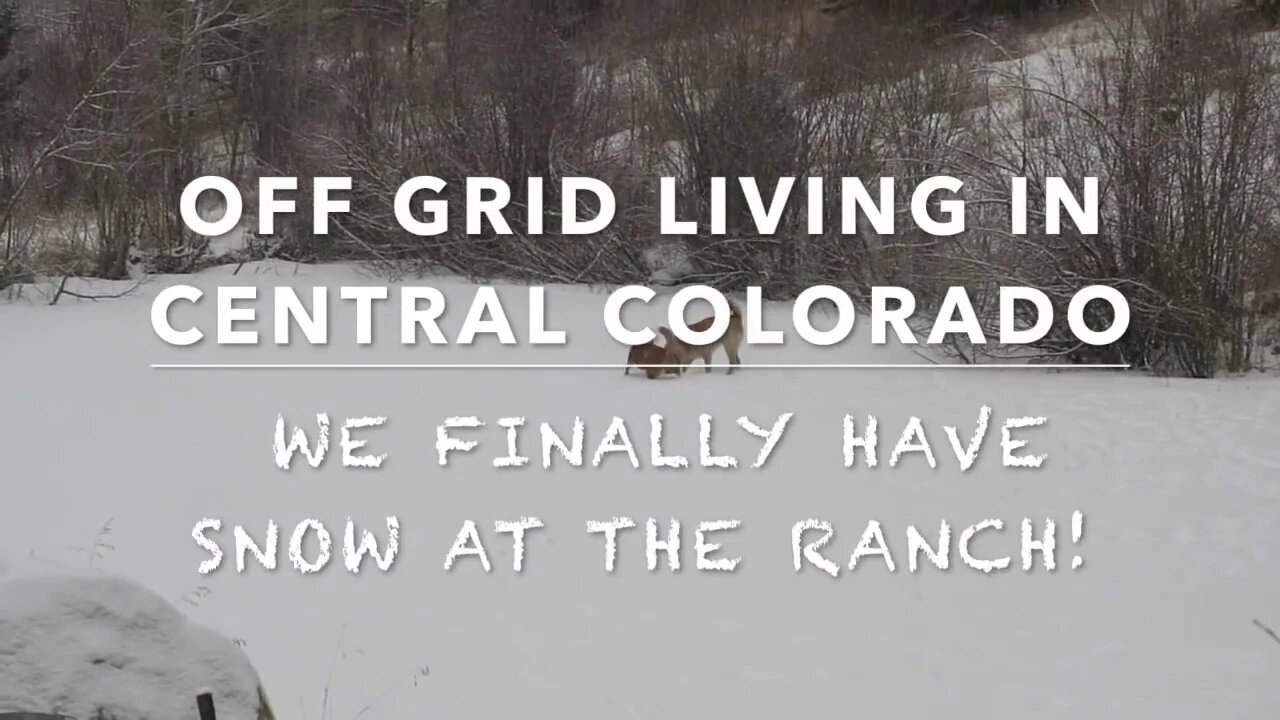 Off Grid Living: Typical January Day At The Cabin