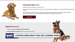 County auditors warn of fake dog license websites