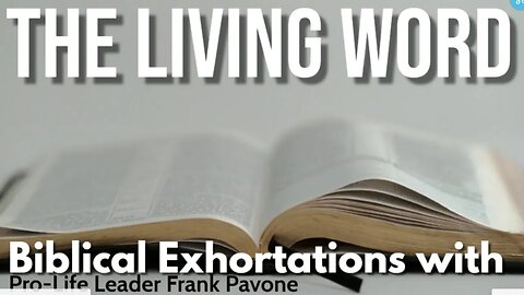 The Living Word - Reflections on Today's Readings