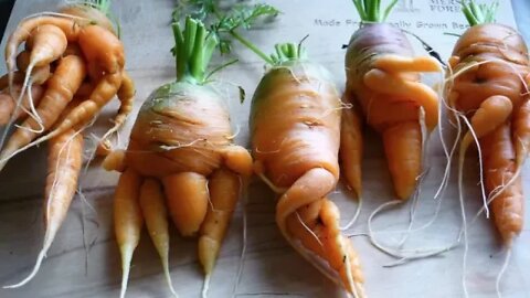 Radiation Levels Spiked, Testing California Fruit & Milk, Fukushima Fallout? 2017