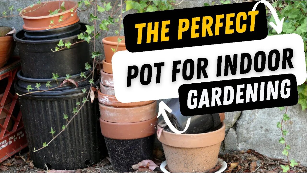 How To Choose THE PERFECT Pot For Indoor Gardening. Indoor Gardening Series ep 3 GardenSoxx Indoors