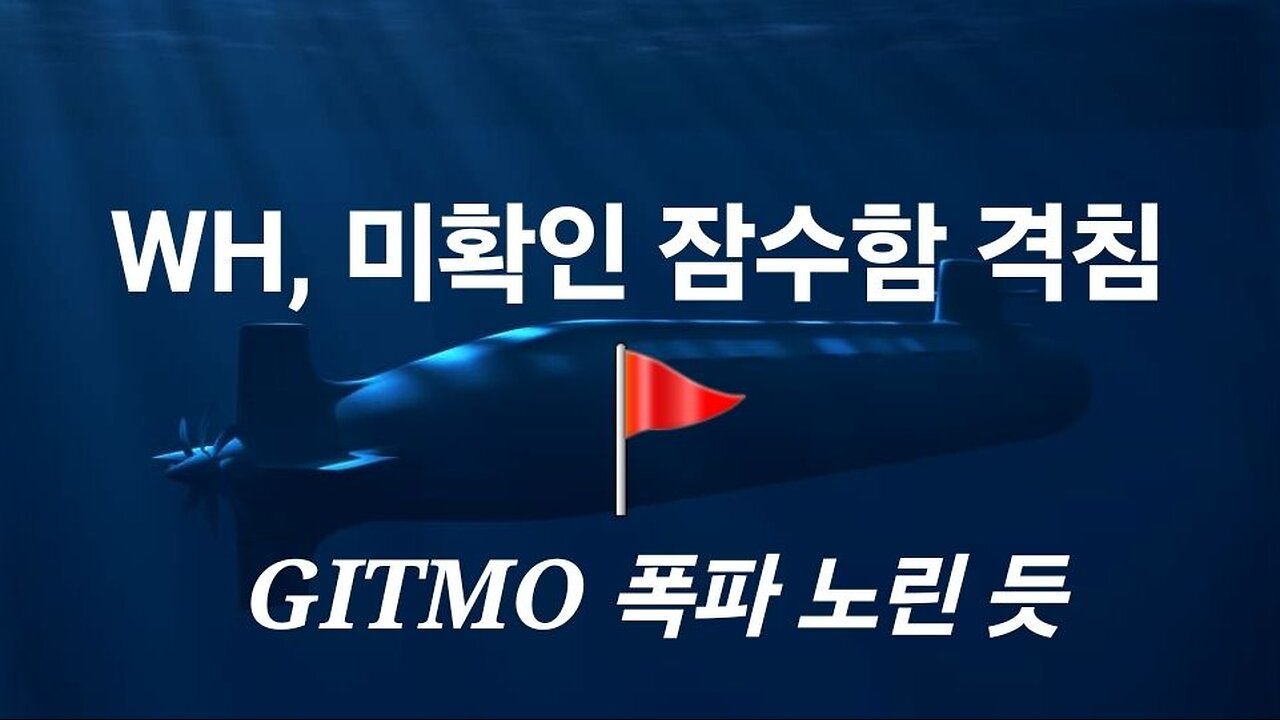 WH, 미확인 잠수함 어뢰 격침. DS 자살 공격 가능성. #1257. 240729.