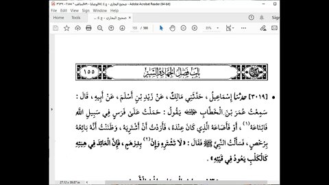 66 المجلس 66صحيح البخاري قراءة الشيخ محمد بشير كتاب الجهاد من باب 124 الردف على الحمار إلى باب 162