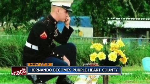 Hernando Co. becomes a Purple Heart County to honor those injured, killed in combat