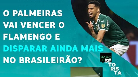 Palmeiras ou Flamengo: quem VENCERÁ o JOGÃO DE DOMINGO pelo Brasileirão? | PAPO DE SETORISTA