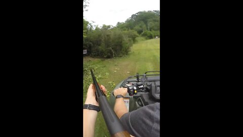 Shotgun Drive-By