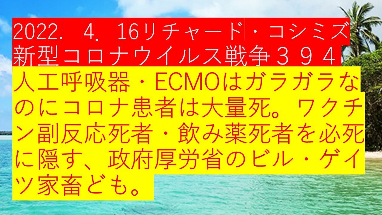 2022.04.16 リチャード・コシミズ新型コロナウイルス戦争394