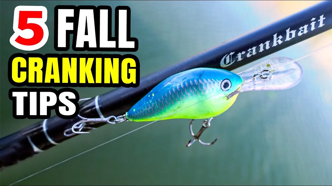 5 Fall Crankbait Tips you NEED for Smallmouth Fishing