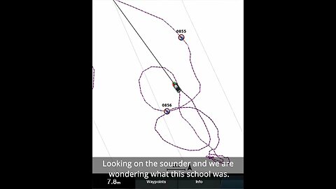 Fingermark??? You beauty!!!