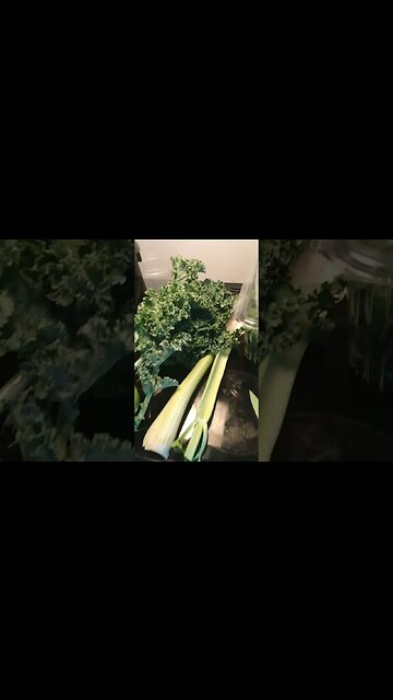 Day 2 green juice challenge!