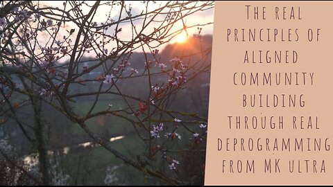 The real principles of aligned community building through real deprogramming from MK ultra