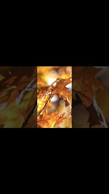 Relaxing Music for Stress Relief #Shorts