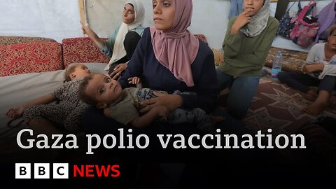 Israel agrees pauses in Gaza fighting to allow polio vaccination of children | BBC News