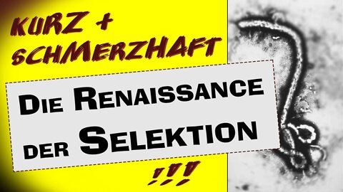 Die Renaissance der Selektion