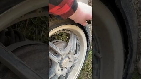 Oh shit #shorts