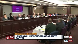 Florida Senate's mass shooting workshop may produce 'small' reforms