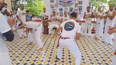 Instrutor Japonês X Professor Mosquito