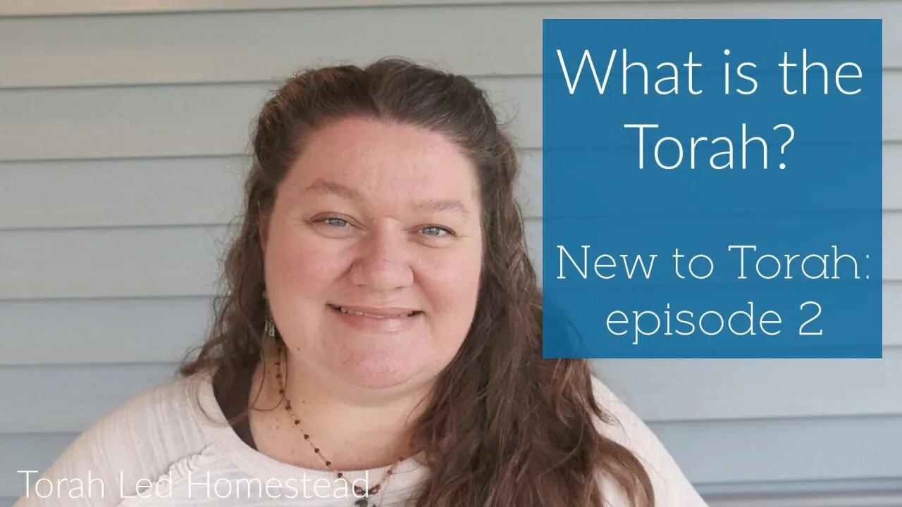 What is the Torah? | New to Torah episode 2