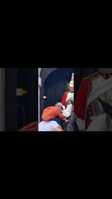Little boy makes the kings guards smile #horseguardsparade