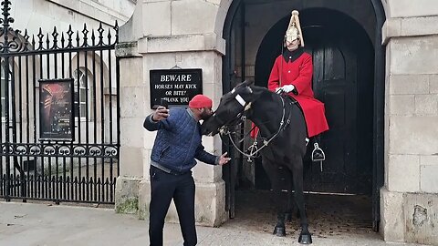 Over confident tourist kisses Horse almost gets bitten (Arni THETOURISTHATER) #thekingsguard