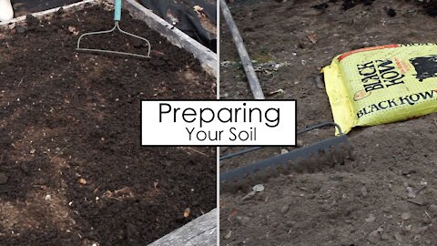 Preparing Your Soil for Transplanting