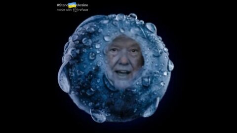 The Ultimate Donald Trump Blueberry Meme! 🫐