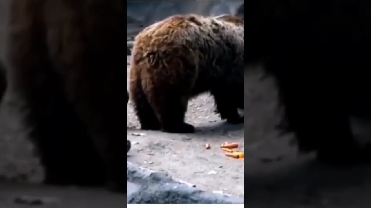 Kindness in every creation #shorts #viral #saintpee #youtubeshorts #music #saintpee