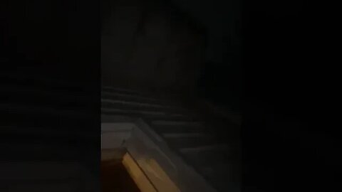 what is that sound 😳