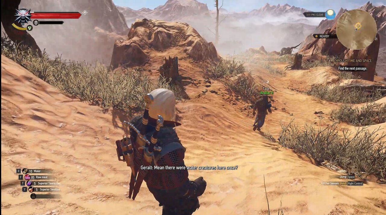The Witcher 3 through time and space part 1