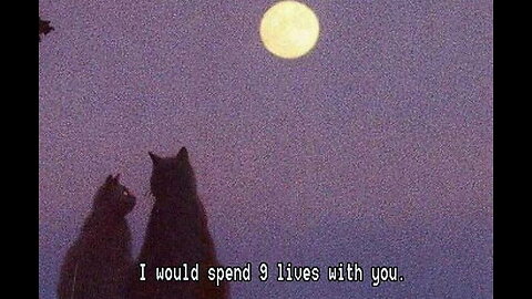 Michael Bublé - The Way You Look Tonight